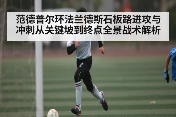 范德普尔环法兰德斯石板路进攻与冲刺从关键坡到终点全景战术解析